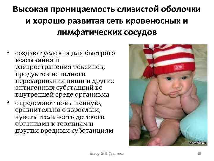 Высокая проницаемость слизистой оболочки и хорошо развитая сеть кровеносных и лимфатических сосудов • создают