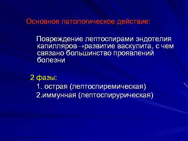 Основное патологическое действие: Повреждение лептоспирами эндотелия капилляров→развитие васкулита, с чем связано большинство проявлений болезни