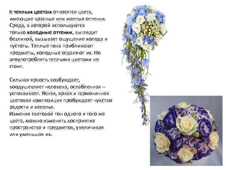 К теплым цветам относятся цвета, имеющие красные или желтые оттенки. Среда, в которой используются