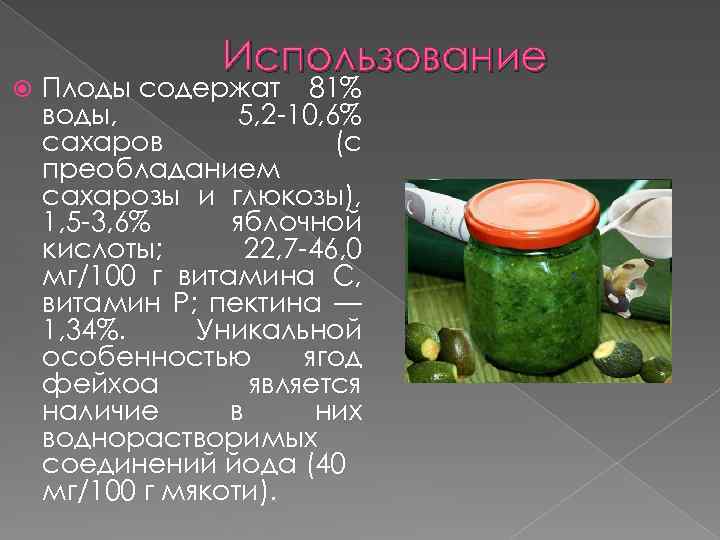  Использование Плоды содержат 81% воды, 5, 2 -10, 6% сахаров (с преобладанием сахарозы