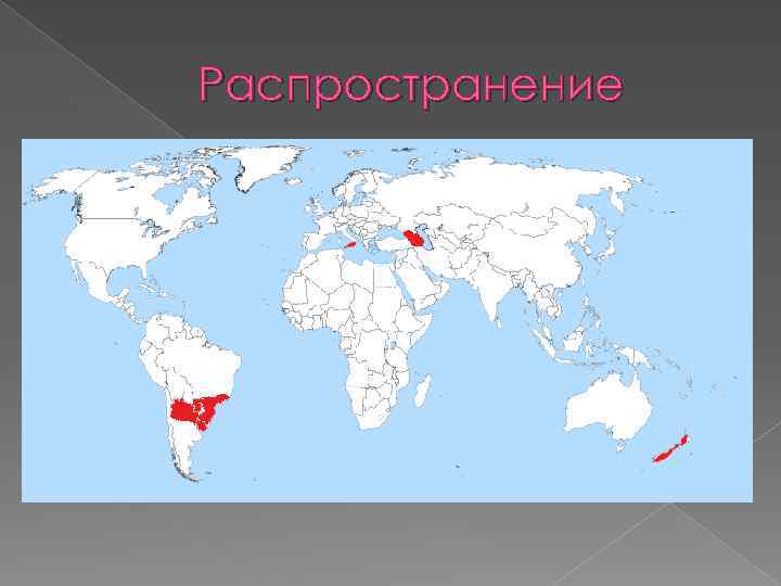 Распространение 