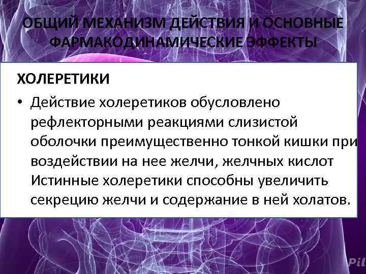 Желчегонные фармакологии. Желчегонные препараты механизм действия. Механизм действия холеретиков.