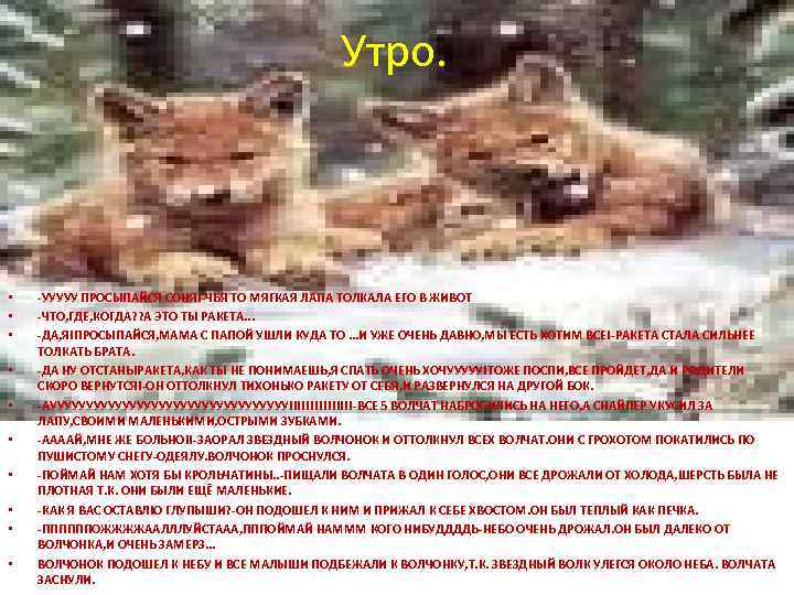 Утро. • • • -УУУУУ ПРОСЫПАЙСЯ СОНЯ!-ЧЬЯ ТО МЯГКАЯ ЛАПА ТОЛКАЛА ЕГО В ЖИВОТ