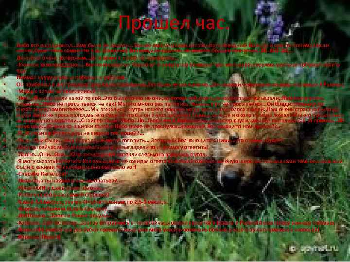 Прошел час. • • • • • • Небо всё ещё дрожал. . .