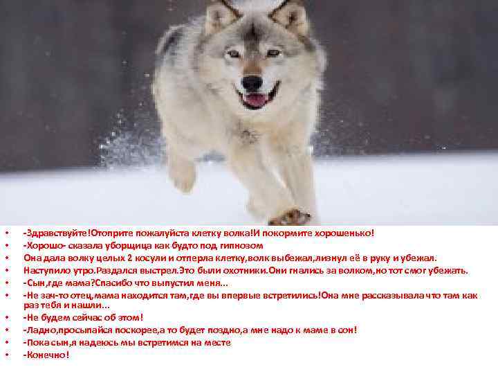  • • • -Здравствуйте!Отоприте пожалуйста клетку волка!И покормите хорошенько! -Хорошо- сказала уборщица как