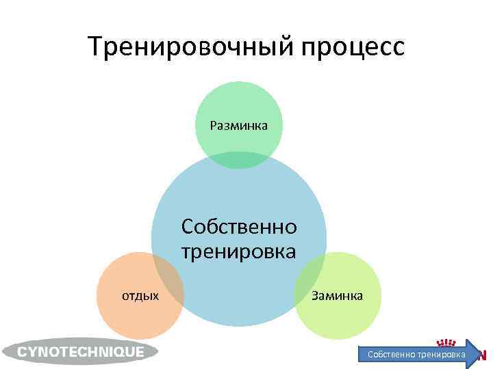 Тренировочный процесс Разминка Собственно тренировка отдых Заминка Собственно тренировка 