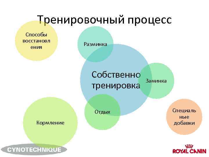 Процесс способы. Порядок бьет класс. Дисциплина бьет класс.