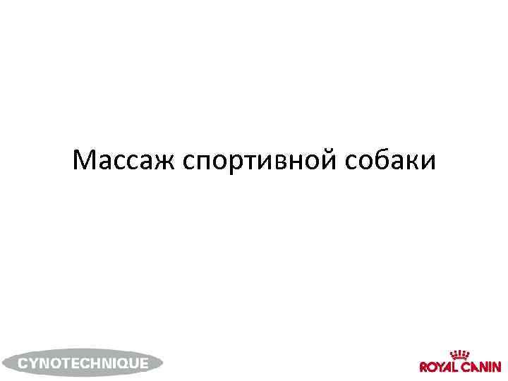 Массаж спортивной собаки 