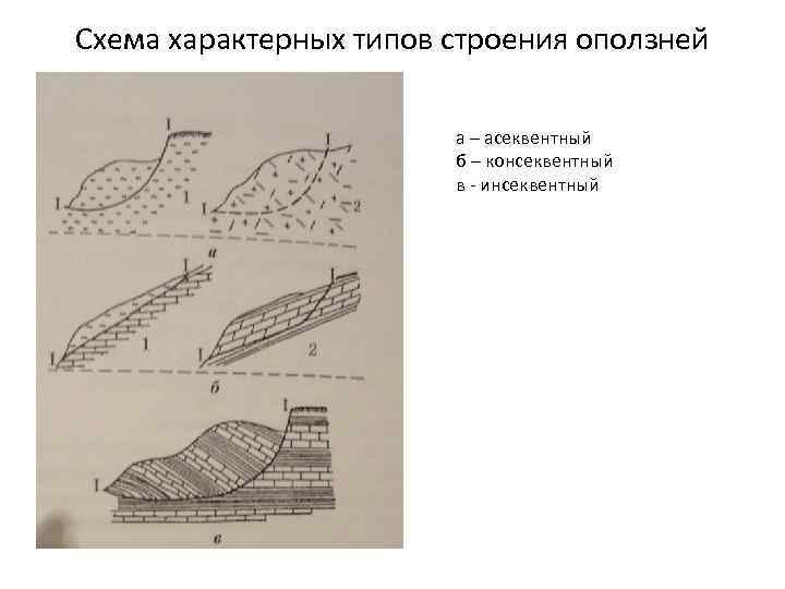 Схема характерных типов строения оползней а – асеквентный б – консеквентный в - инсеквентный