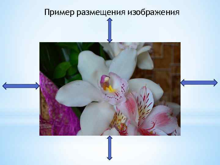 Пример размещения изображения 