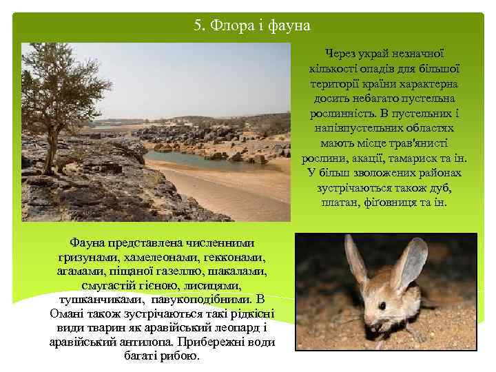 5. Флора і фауна Через украй незначної кількості опадів для більшої території країни характерна
