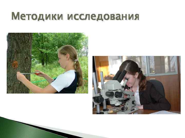 Методики исследования 