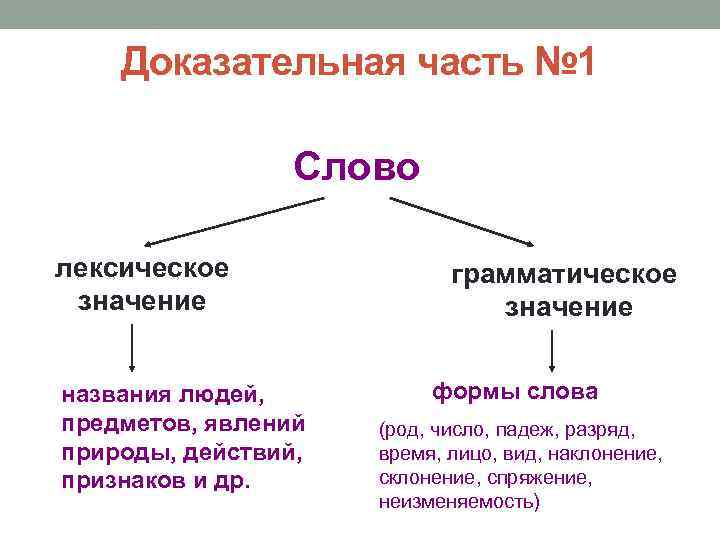Доказательная часть № 1 Слово лексическое значение грамматическое значение формы слова названия людей, предметов,