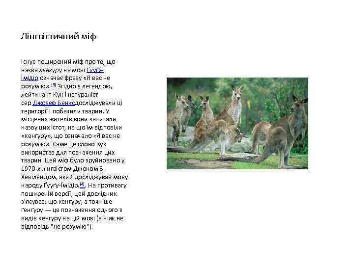 Лінгвістичний міф Існує поширений міф про те, що назва кенгуру на мові ҐууґуЇмідір означає