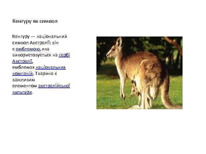 Кенгуру як символ Кенгуру — національний символ Австралії: він є емблемою, яка використовується на