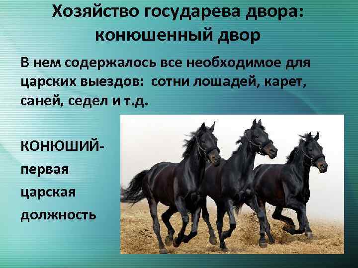 Хозяйство государева двора: конюшенный двор В нем содержалось все необходимое для царских выездов: сотни