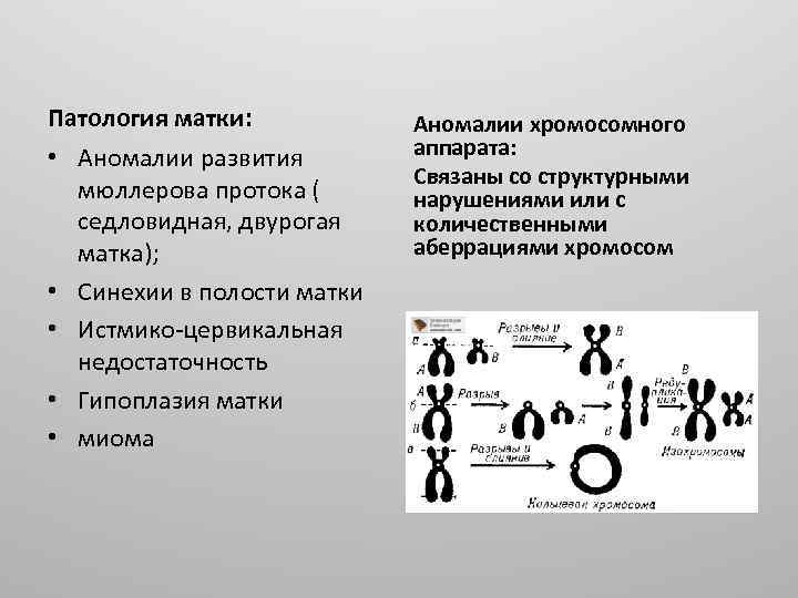 Патология матки: • Аномалии развития мюллерова протока ( седловидная, двурогая матка); • Синехии в