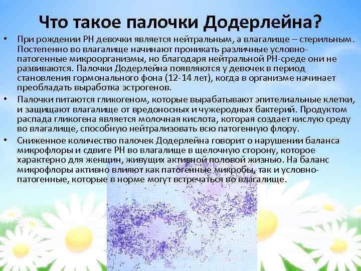 Что такое палочки Додерлейна? • При рождении РН девочки является нейтральным, а влагалище –