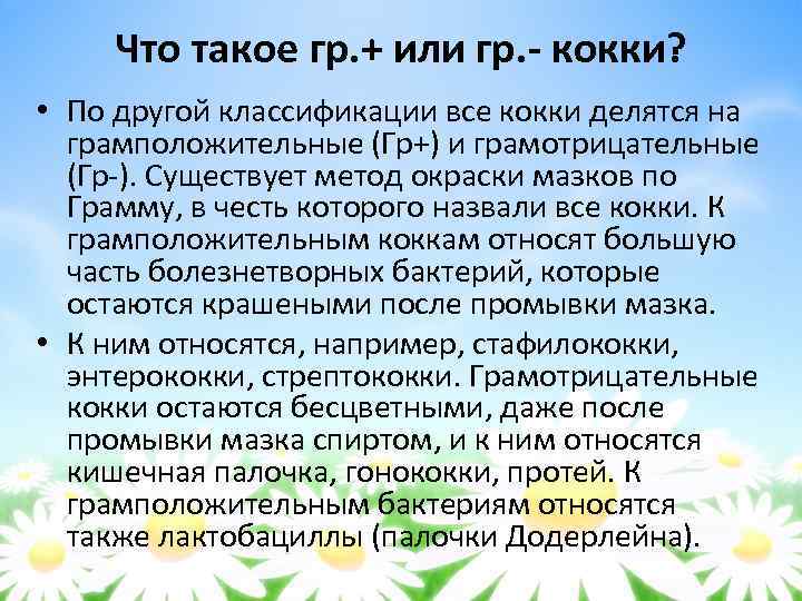 Что такое гр. + или гр. - кокки? • По другой классификации все кокки