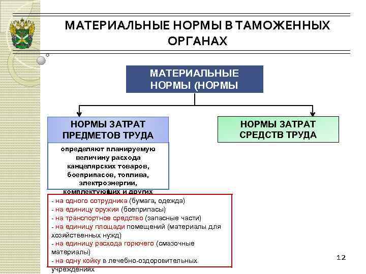 МАТЕРИАЛЬНЫЕ НОРМЫ В ТАМОЖЕННЫХ ОРГАНАХ МАТЕРИАЛЬНЫЕ НОРМЫ (НОРМЫ ПОЛОЖЕННОСТИ) НОРМЫ ЗАТРАТ ПРЕДМЕТОВ ТРУДА определяют