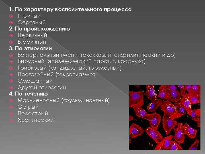 1. По характеру воспалительного процесса Гнойный Серозный 2. По происхождению Первичный Вторичный 3. По