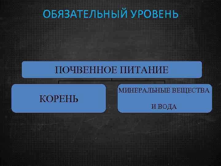 ОБЯЗАТЕЛЬНЫЙ УРОВЕНЬ ПОЧВЕННОЕ ПИТАНИЕ КОРЕНЬ МИНЕРАЛЬНЫЕ ВЕЩЕСТВА И ВОДА 