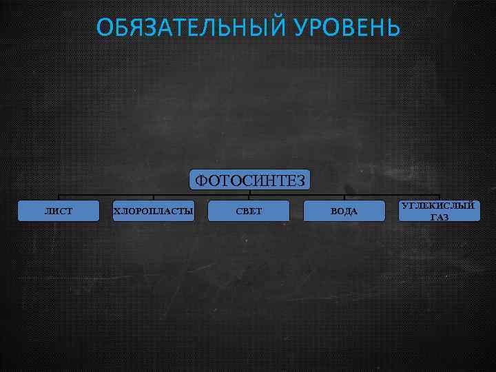 ОБЯЗАТЕЛЬНЫЙ УРОВЕНЬ ФОТОСИНТЕЗ ЛИСТ ХЛОРОПЛАСТЫ СВЕТ ВОДА УГЛЕКИСЛЫЙ ГАЗ 