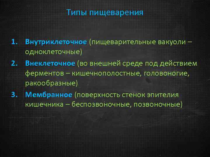 Типы пищеварения 1. Внутриклеточное (пищеварительные вакуоли – одноклеточные) 2. Внеклеточное (во внешней среде под
