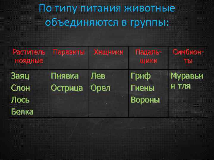 По типу питания животные объединяются в группы: Раститель ноядные Паразиты Хищники Заяц Слон Лось