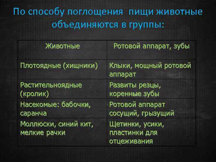 По способу поглощения пищи животные объединяются в группы: Животные Плотоядные (хищники) Растительноядные (кролик) Насекомые: