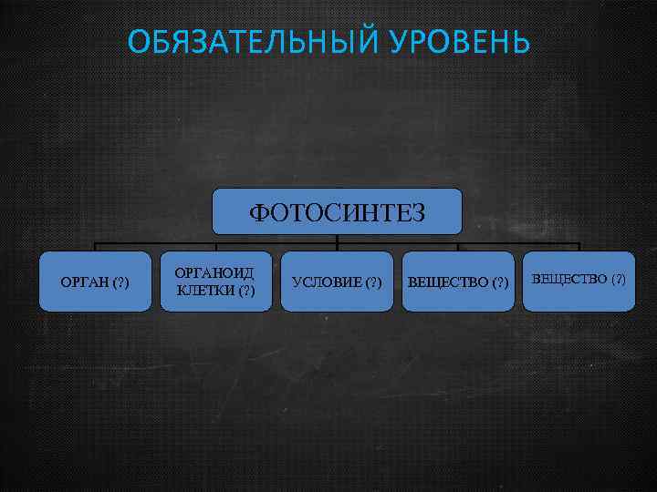 ОБЯЗАТЕЛЬНЫЙ УРОВЕНЬ ФОТОСИНТЕЗ ОРГАН (? ) ОРГАНОИД КЛЕТКИ (? ) УСЛОВИЕ (? ) ВЕЩЕСТВО