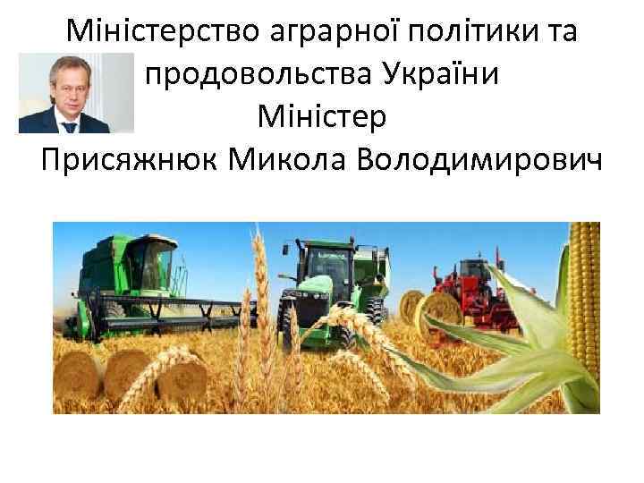 Міністерство аграрної політики та продовольства України Міністер Присяжнюк Микола Володимирович 