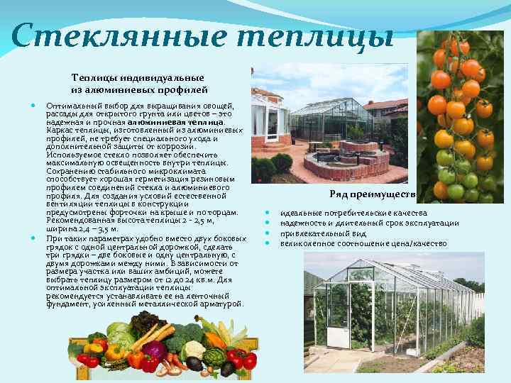 Стеклянные теплицы Теплицы индивидуальные из алюминиевых профилей Оптимальный выбор для выращивания овощей, рассады для