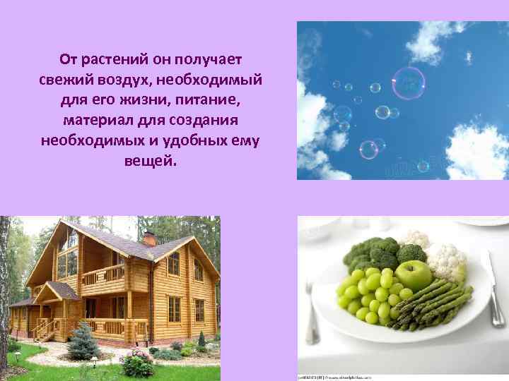 От растений он получает свежий воздух, необходимый для его жизни, питание, материал для создания