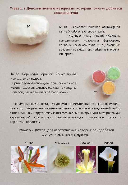 Глава 2. 1 Дополнительные материалы, которые помогут добиться совершенства 19 № 19 - Самозастывающая