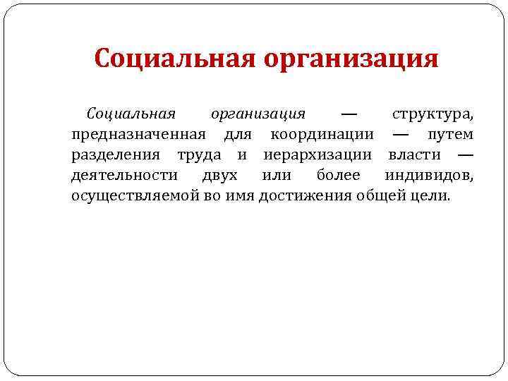 Социальная организация — структура, предназначенная для координации — путем разделения труда и иерархизации власти