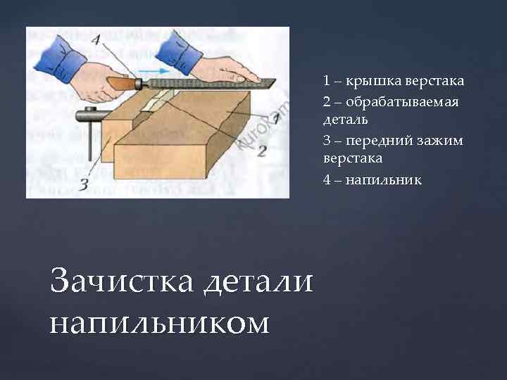 1 – крышка верстака 2 – обрабатываемая деталь 3 – передний зажим верстака 4