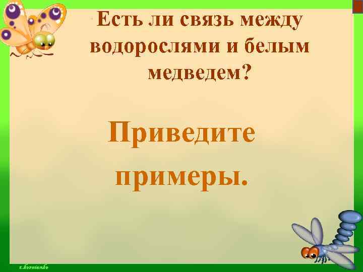 Есть ли связь между водорослями и белым медведем? Приведите примеры. 