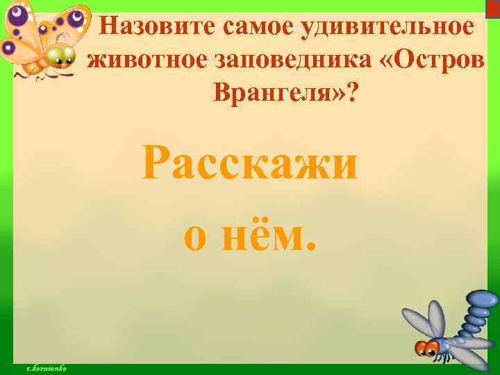 Назовите самое удивительное животное заповедника «Остров Врангеля» ? Расскажи о нём. 