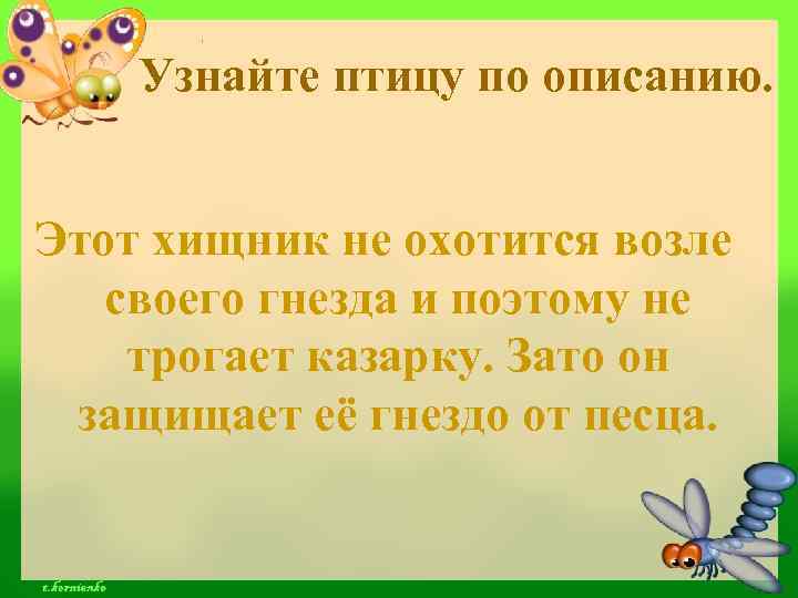 Узнайте птицу по описанию. Этот хищник не охотится возле своего гнезда и поэтому не