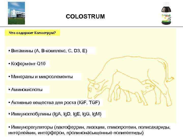 COLOSTRUM _________________________________________ Что содержит Колострум? • Витамины (A, B-комплекс, C, D 3, E) •