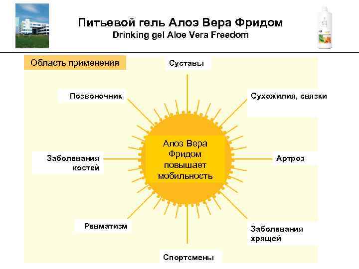 Питьевой гель Алоэ Вера Фридом Drinking gel Aloe Vera Freedom _________________________________________ Область применения Суставы