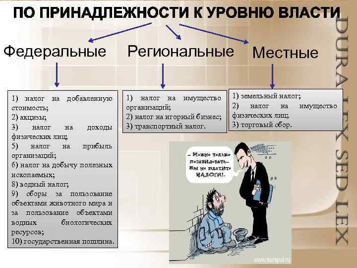 Федеральные 1) налог на добавленную стоимость; 2) акцизы; 3) налог на доходы физических лиц;