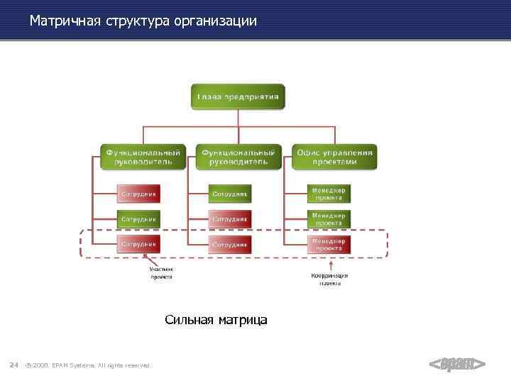 Матричная структура организации Сильная матрица 24 ® 2008. EPAM Systems. All rights reserved. 