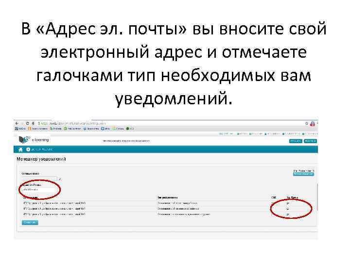 В «Адрес эл. почты» вы вносите свой электронный адрес и отмечаете галочками тип необходимых