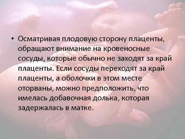  • Осматривая плодовую сторону плаценты, обращают внимание на кровеносные сосуды, которые обычно не