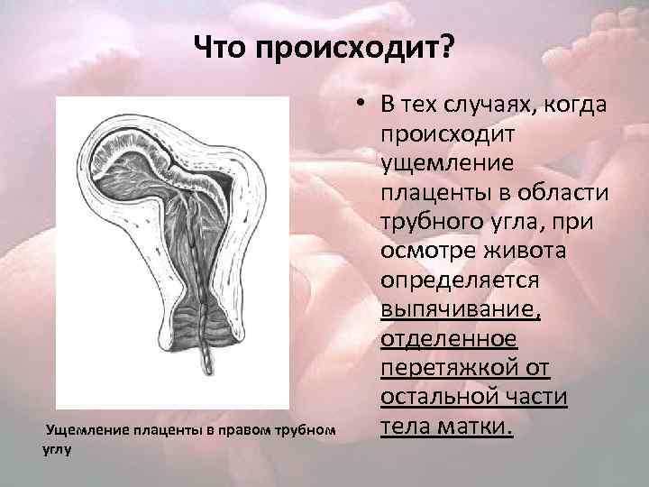 Рецепт теста для плаценты