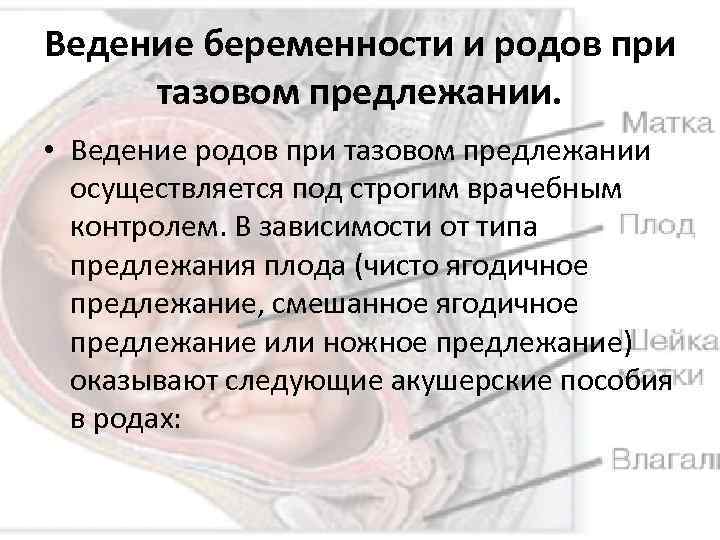 Ведение беременности и родов при тазовом предлежании. • Ведение родов при тазовом предлежании осуществляется