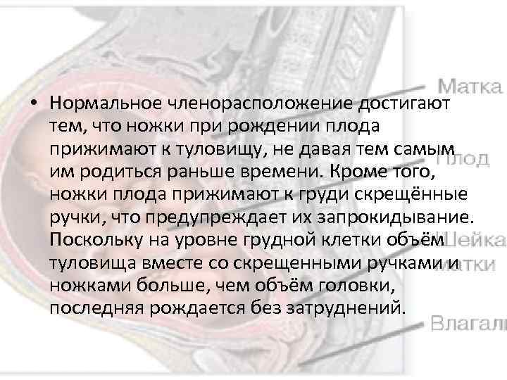  • Нормальное членорасположение достигают тем, что ножки при рождении плода прижимают к туловищу,