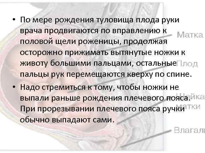  • По мере рождения туловища плода руки врача продвигаются по вправлению к половой